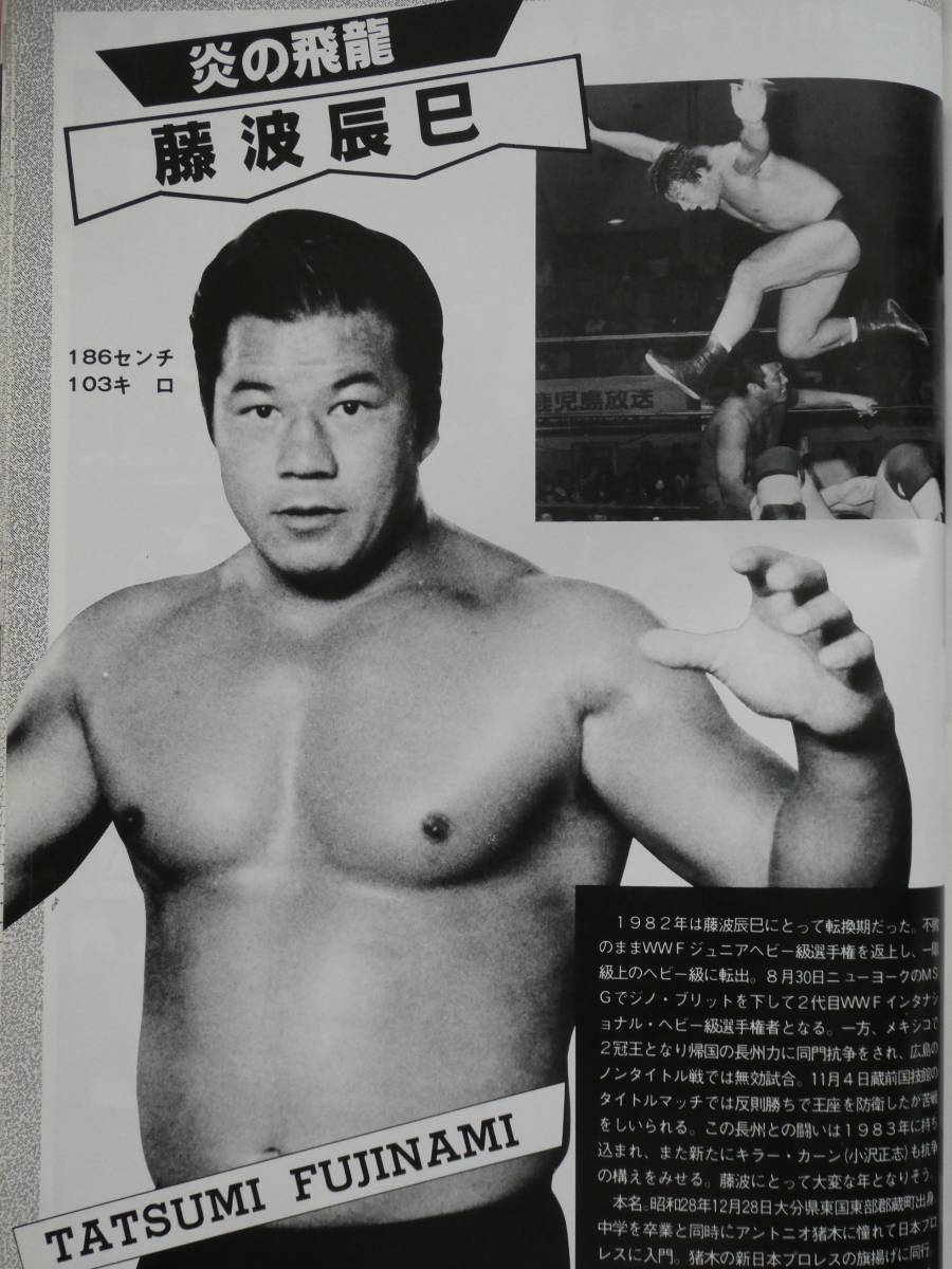 新日本プロレス パンフレット【ザ・レスラー】 全冊 Yahoo!オークション - 新日本プロレス・パンフレット ザ