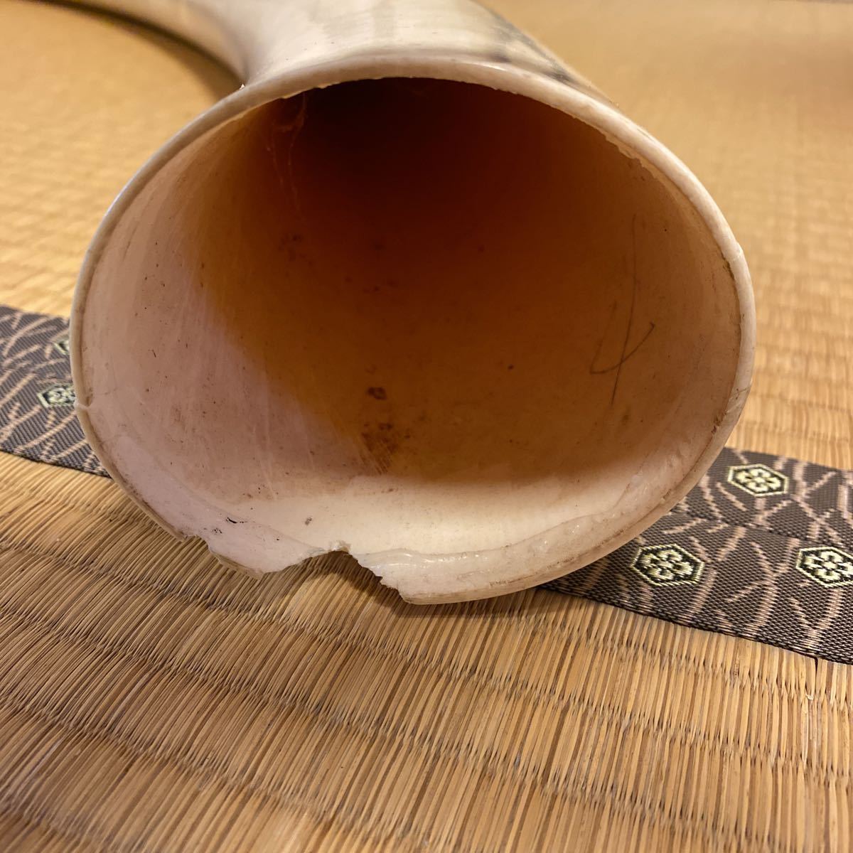 54 象牙風 置物 オブジェ 一本物 一本牙 工芸品 約5.8kg | monsterdog