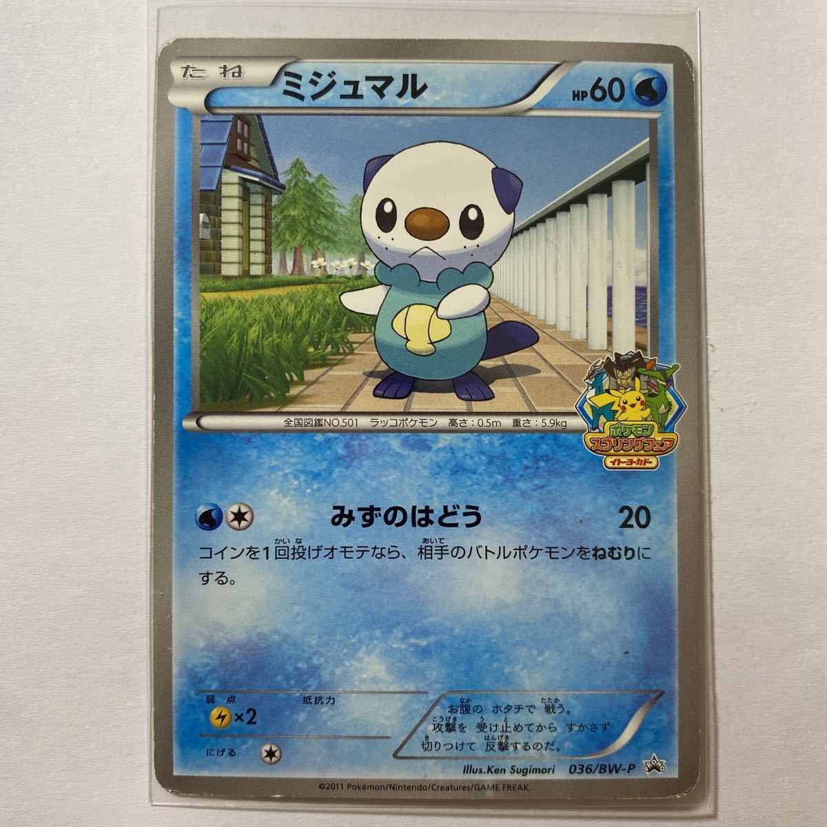Yahoo!オークション - ポケモンカードBW プロモ ミジュマル 絶版 Yahoo!オークション - ポケモンカードBW プロモ ミジュマル 絶版