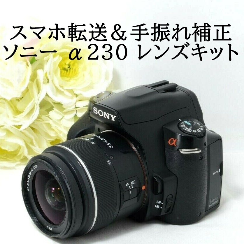 ソニー SONY α77 DT 18-55mm 標準 レンズセット デジタル一眼レフ