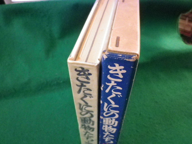 ■きたぐにの動物たち　本多勝一　実業之日本社　昭和44年■FASD2021122210■_画像3