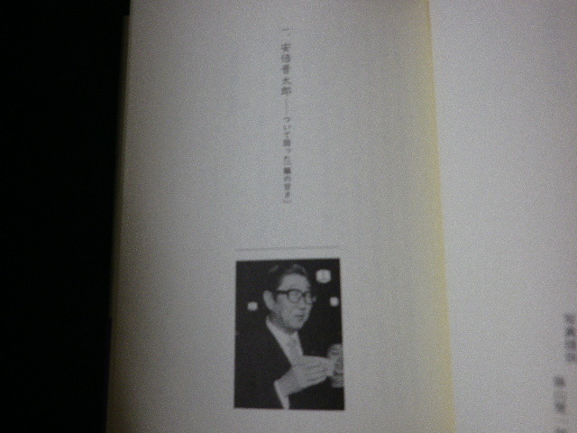 ■総理になれなかった男たち 逆説的指導者論 小林吉弥 経済界 1991年■FAUB2021082815■_画像3