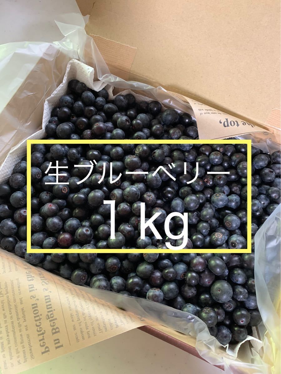 生ブルーベリー 1kg 無選別 無農薬 奈良県産 採れたて|PayPayフリマ ①朝採り生ブルーベリー こつぶ加工用 本日収穫 本日出品 宅急便コンパクト