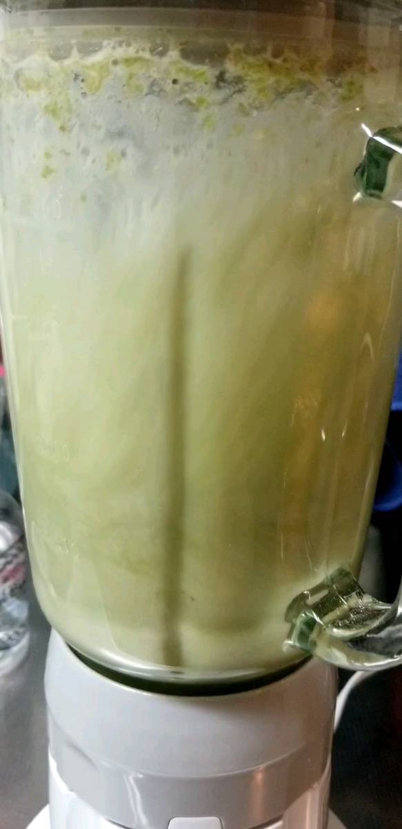 赤松の葉 300g すぐに使えるように葉のみにしています。天然赤松なのでもちろん無農薬です。