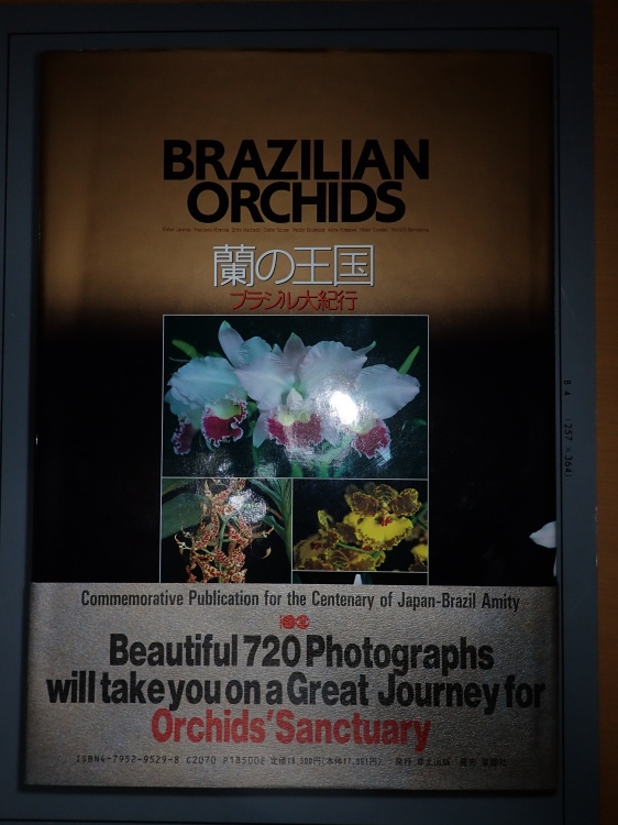 世界的に有名な 蘭の王国 ブラジル大紀行 BRAZILIAN ORCHIDS