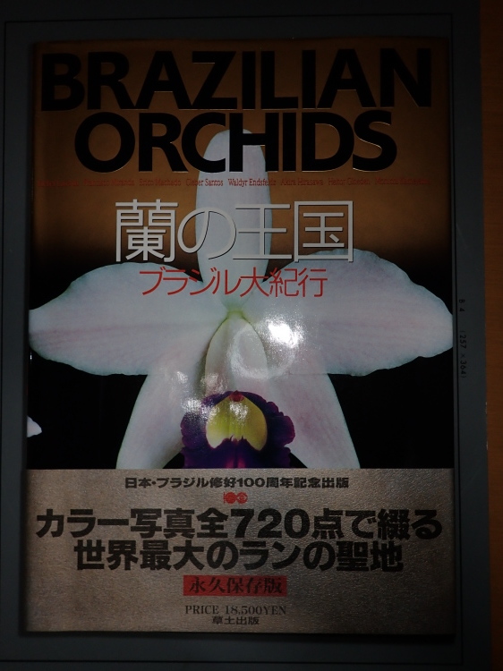 世界的に有名な 蘭の王国 ブラジル大紀行 BRAZILIAN ORCHIDS