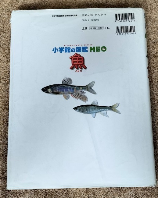 小学館の図鑑  NEO　 魚 さかな
