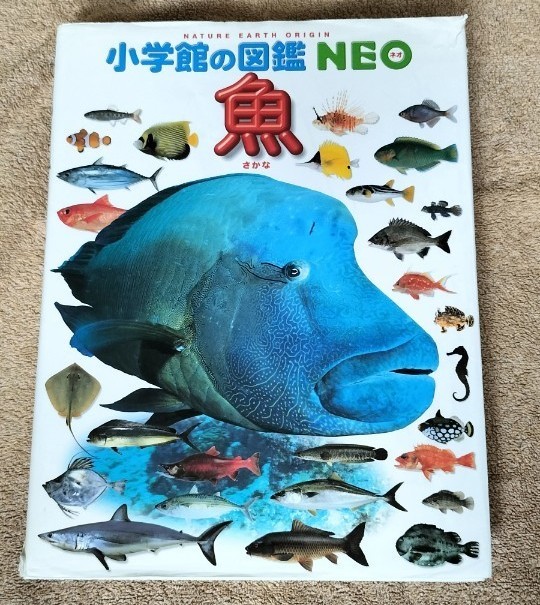 小学館の図鑑  NEO　 魚 さかな