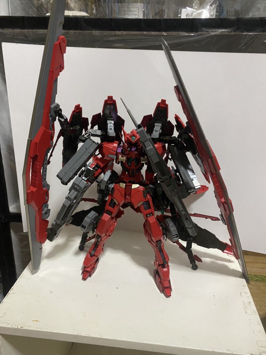 73%OFF!】 MG ガンプラ 3体 agapeeurope.org