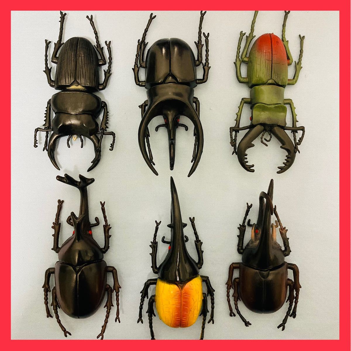 Paypayフリマ クワガタ カブトムシ 人気6種セット 自由研究 Paypayフリマ クワガタ カブトムシ 人気6種セット 自由研究