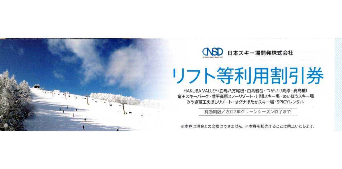 低価格の 日本駐車場開発 株主優待券 スキー場リフト券レンタル割引券