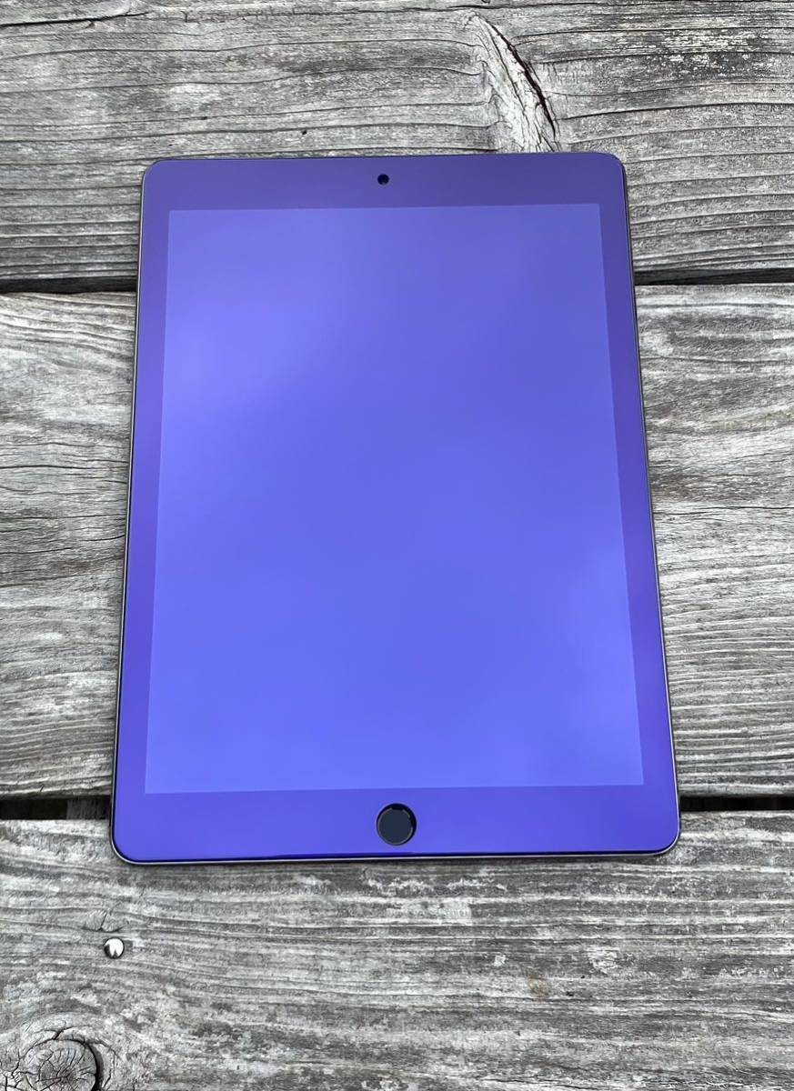 iPad Air2 第2世代 9.7インチ ストレージ32GB スペースグレイ WiFi