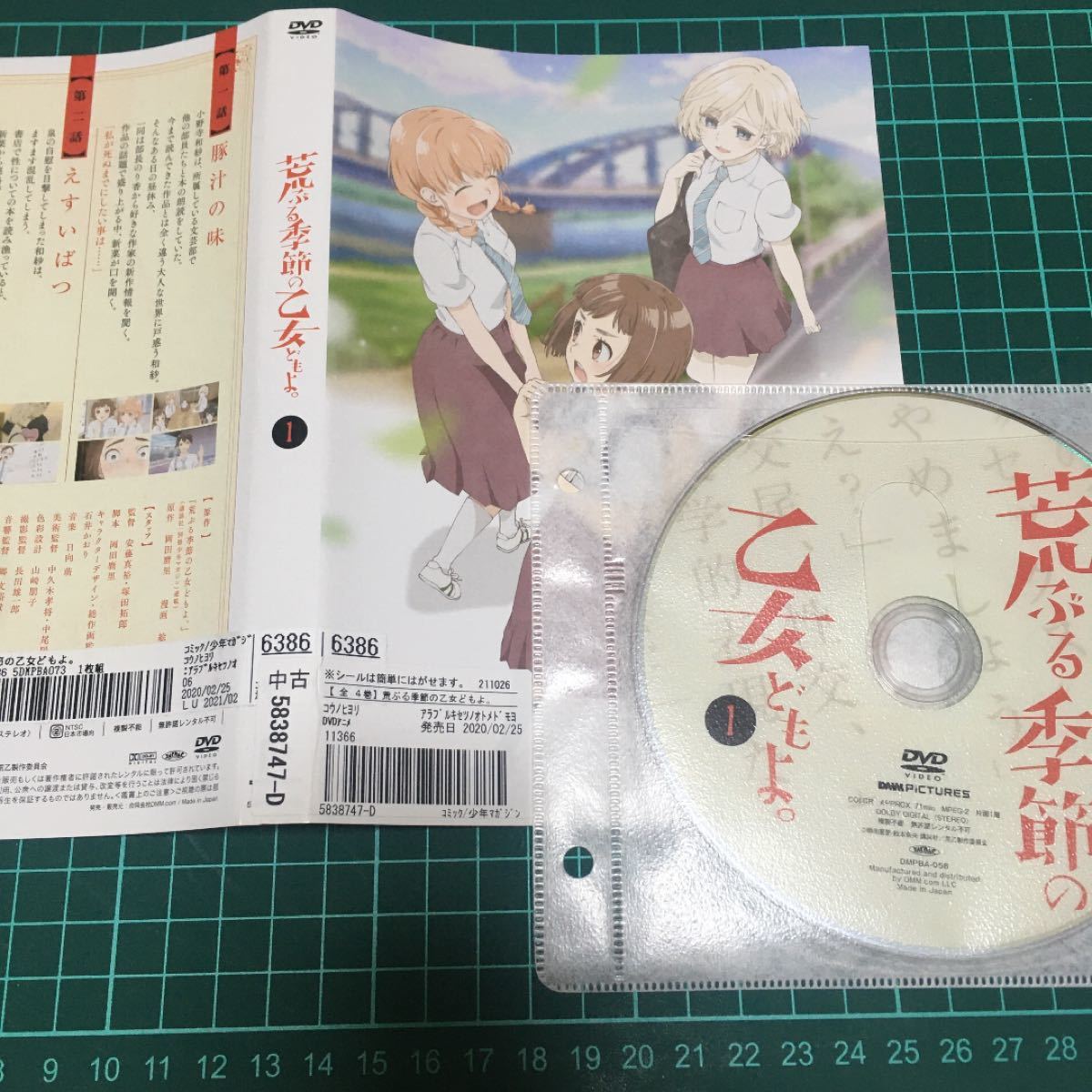 荒ぶる季節の乙女どもよ DVD 全4巻