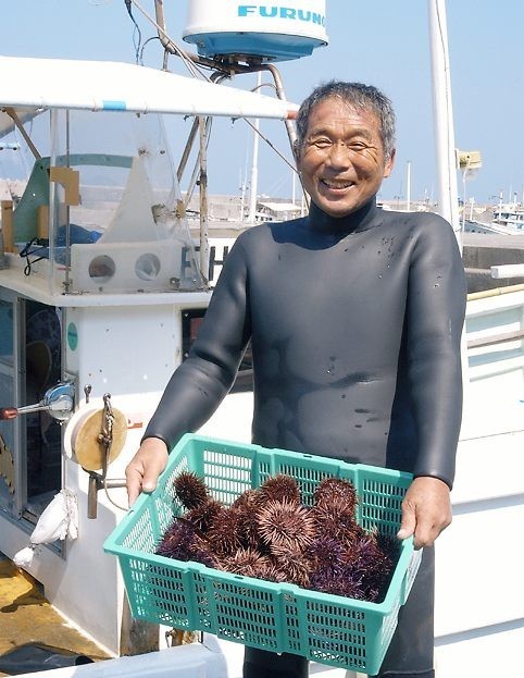 愛媛 天然 殻付き 生ウニ 約24～32個 4kg 期間限定 8月上旬～10月末 紫ウニ 赤ウニ 素潜り海士 送料無料 浜から直送 宇和海の幸問屋_画像6