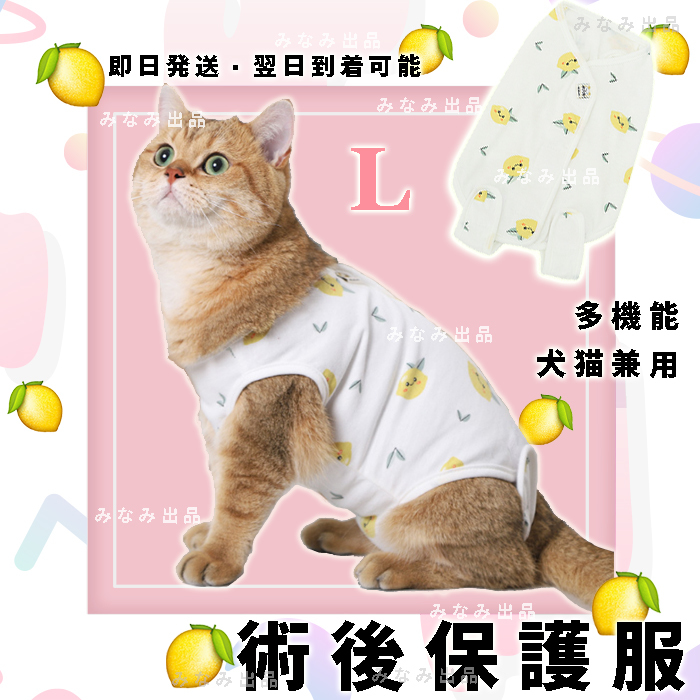 【レモン柄L】猫犬 術後服 離乳避妊手術 皮膚 保護 雌 エリザベスカラー ウェア　レモン_画像1