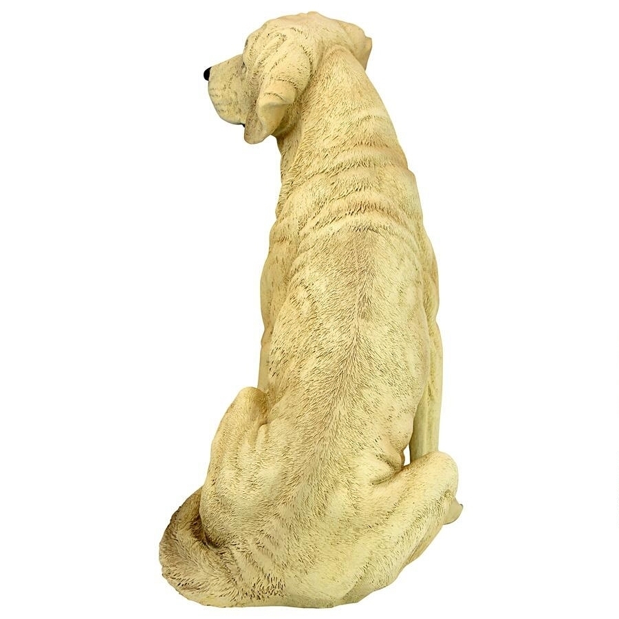 ゴールデン ラブラドール レトリーバー犬 ガーデン彫刻、黄色彫刻 高さ約38ｃｍ/ ペットショップ ドッグカフェ（輸入品_画像5