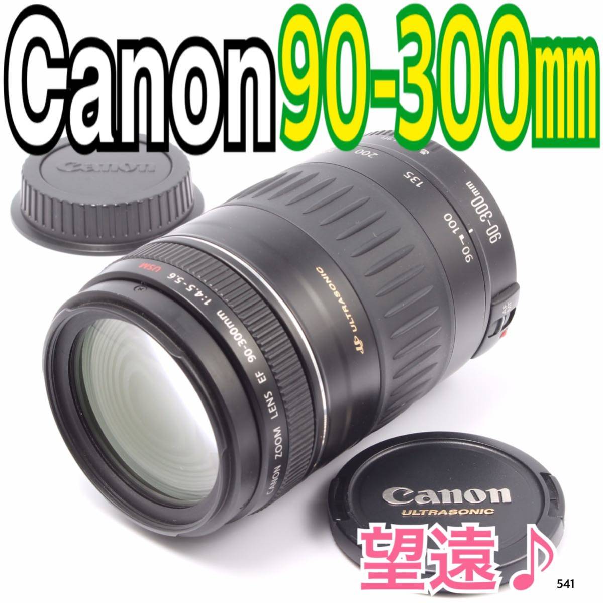 大迫力の望遠レンズキヤノン Canon EF 90-300㎜（No.541） カメラ