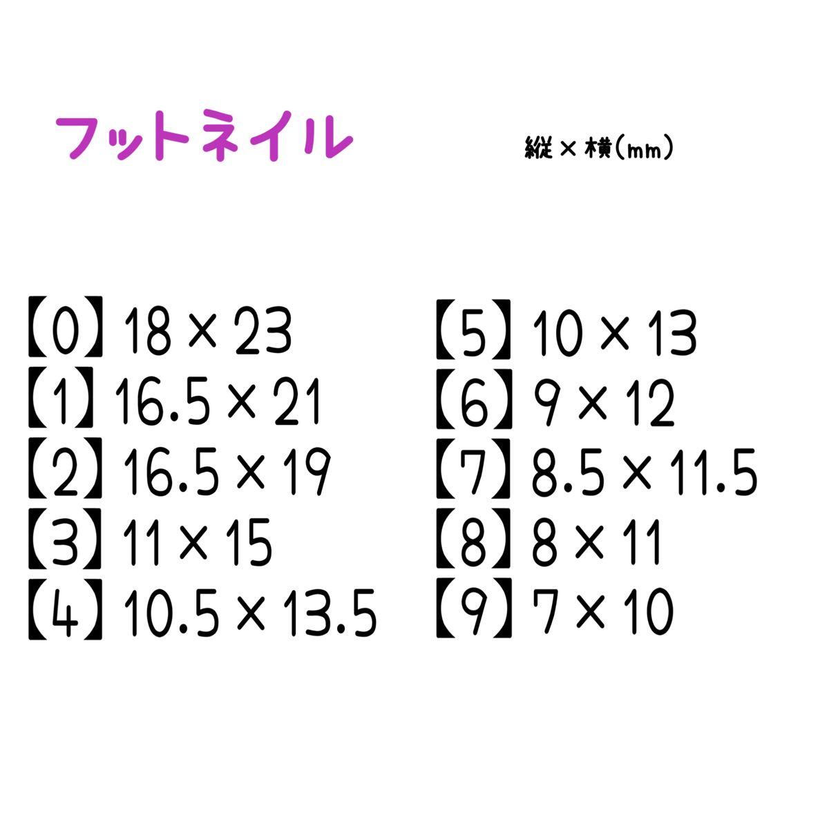 フットネイルチップ No.2 チップシール付き