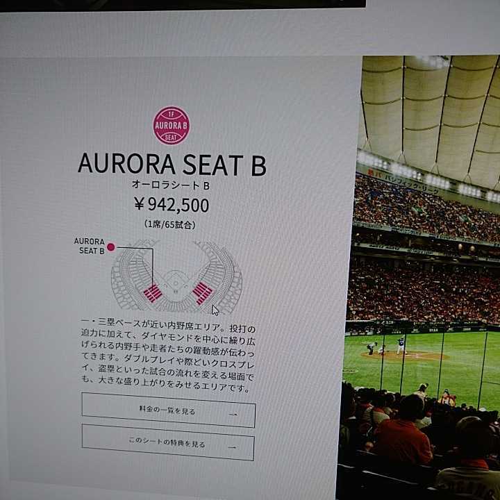 8/23 東京ドーム 巨人vs中日 オーロラシートB 一塁側一階席 8/23 東京ドーム 巨人vs中日 オーロラシートB 一塁側一階席