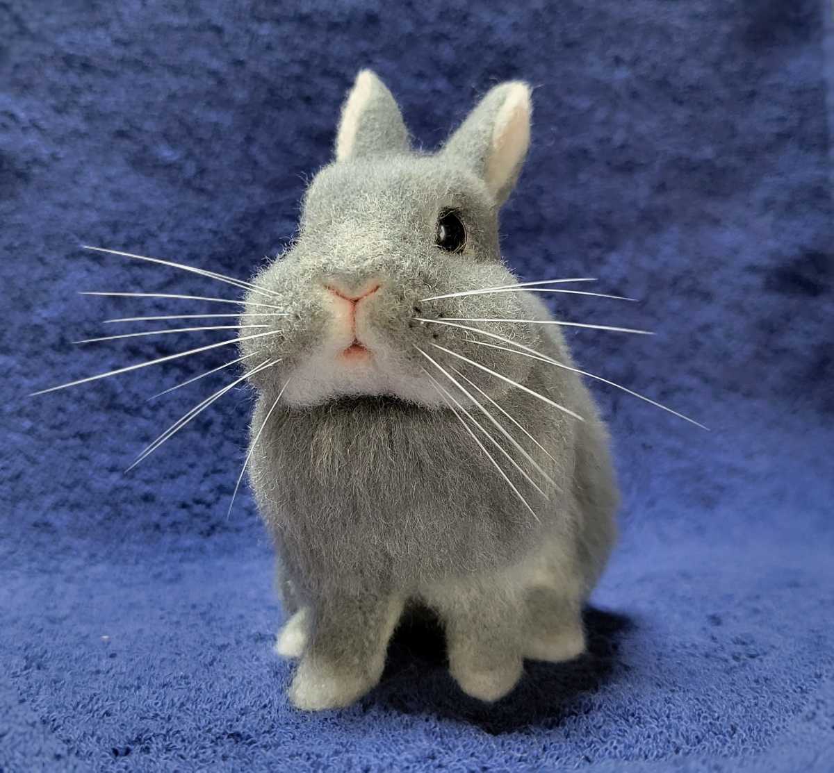 うさぎ 羊毛フェルト ハンドメイド リアル グレー ブルーオター ネザーランド 羊毛フェルト 売買されたオークション情報 Yahooの商品情報をアーカイブ公開 オークファン Aucfan Com うさぎ 羊毛フェルト ハンドメイド リアル グレー ブルーオター ネザーランド 羊毛フェルト 売買されたオークション情報 Yahooの商品情報をアーカイブ公開 オークファン Aucfan Com