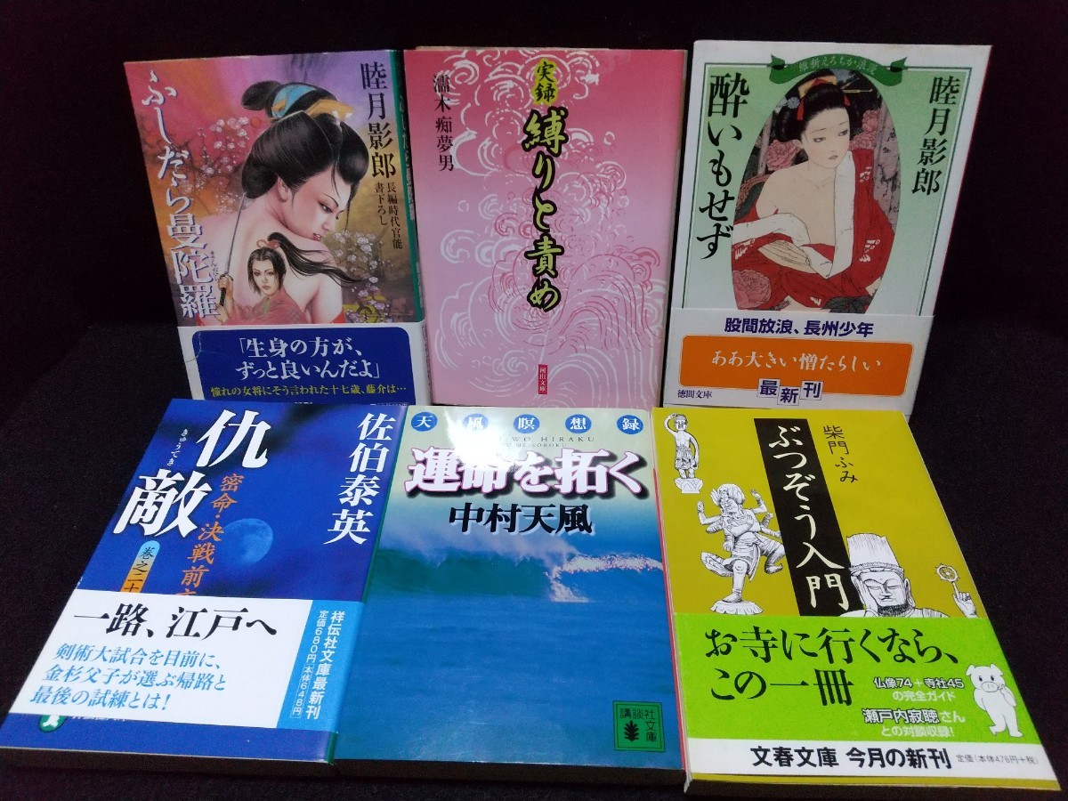 (2)日本文庫40冊！中古本/色々まとめ売り(BOOK/雑学/小説/サスペンス