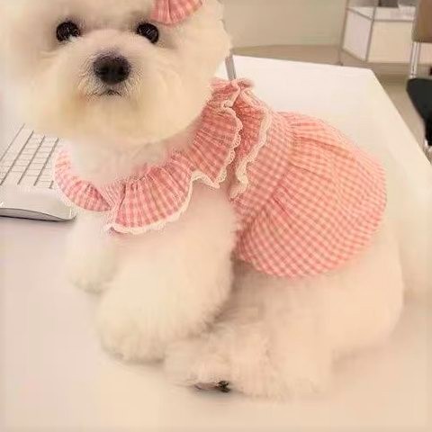 326 S 韓国 フリル ワンピース 犬服 ドッグウェア ペット服 小型犬