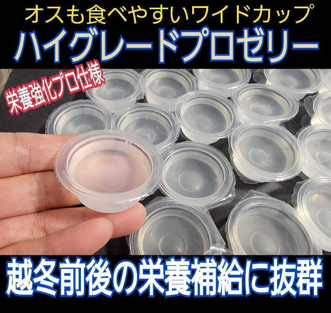 クワガタ、カブトムシの餌はコレ！ハイグレードプロゼリー【100個】食べやすいワイドカップ☆トレハロース強化！産卵促進・長寿効果抜群！_画像1