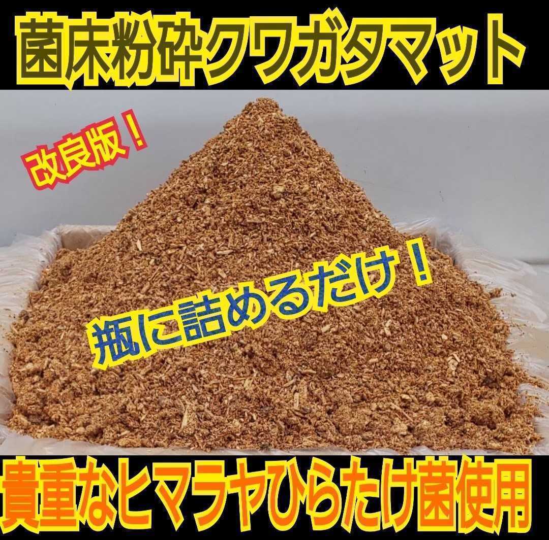 改良版！ヒマラヤひらたけ菌床クワガタマット【2L】瓶やプリンカップに詰めるだけ！オオクワ、ニジイロ、ヒラタ、ノコギリ幼虫がビッグに