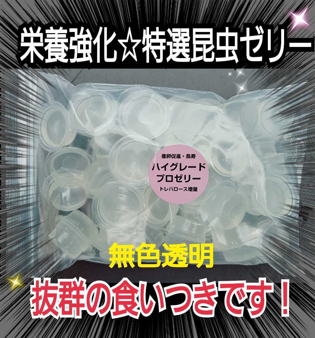 クワガタ、カブトムシの餌はコレ！ハイグレードプロゼリー【50個】食べやすいワイドカップ☆トレハロース強化！産卵促進・長寿効果抜群です_画像1