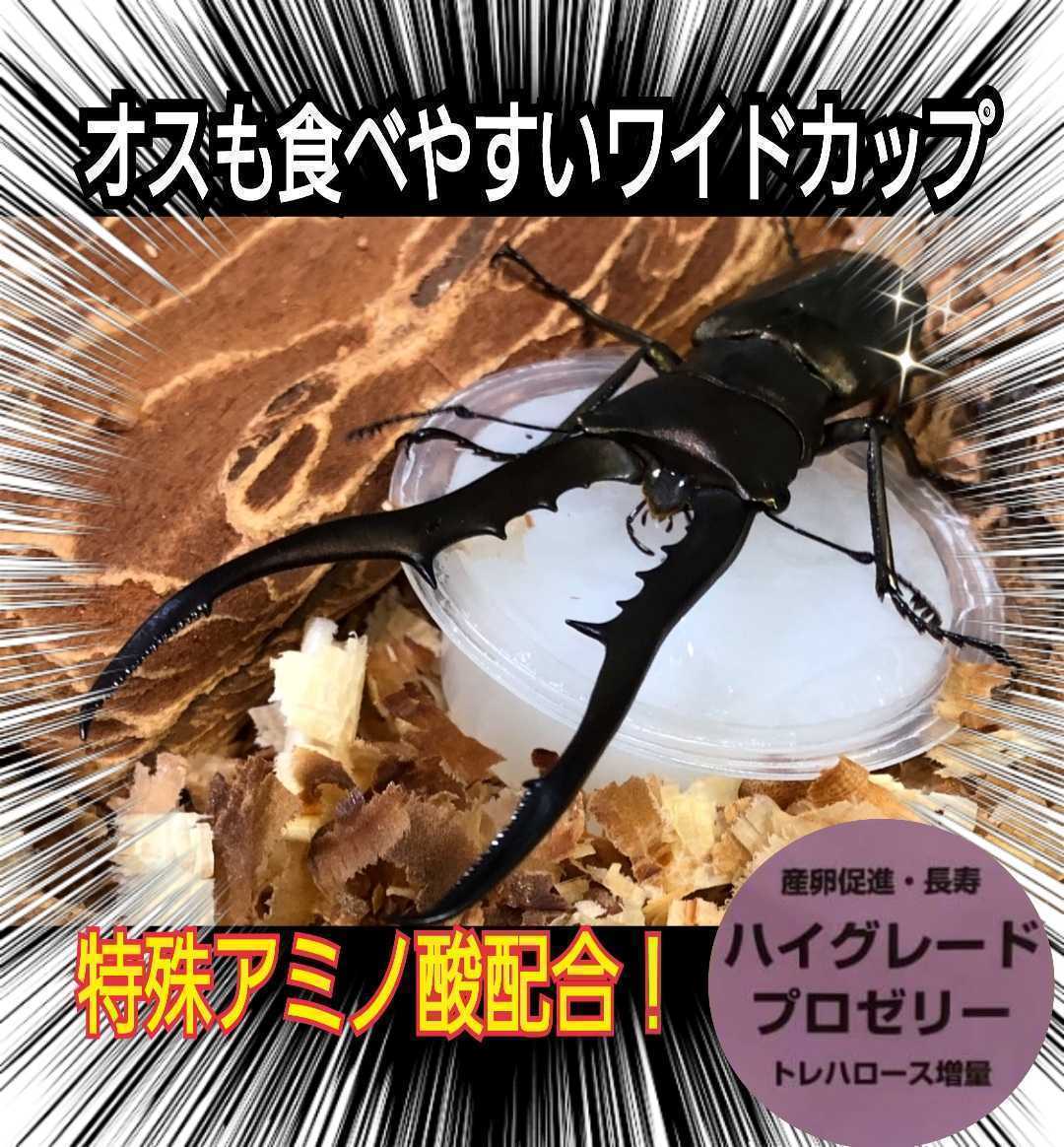 クワガタ、カブトムシの餌はコレ！ハイグレードプロゼリー【100個】食べやすいワイドカップ☆トレハロース強化！産卵促進・長寿効果抜群！