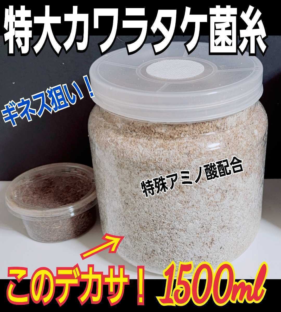 yk.store菌糸ビン N-1100 カワラタケ