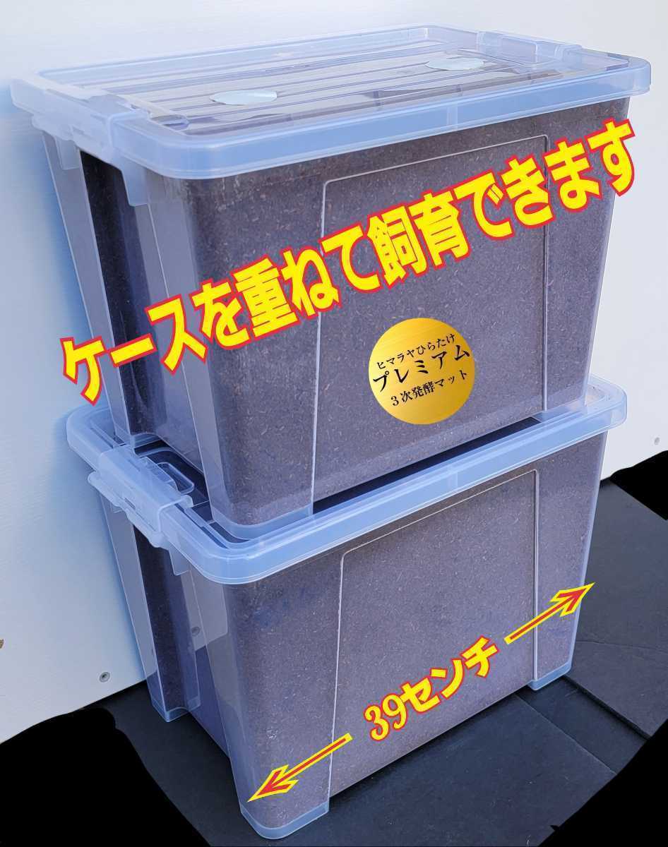 特大ケース付き☆プレミアム発酵マット20L入り☆カブトムシ幼虫を入れるだけ☆便利！大型成虫羽化できます☆コバエ防止特殊フィルター付き_画像5