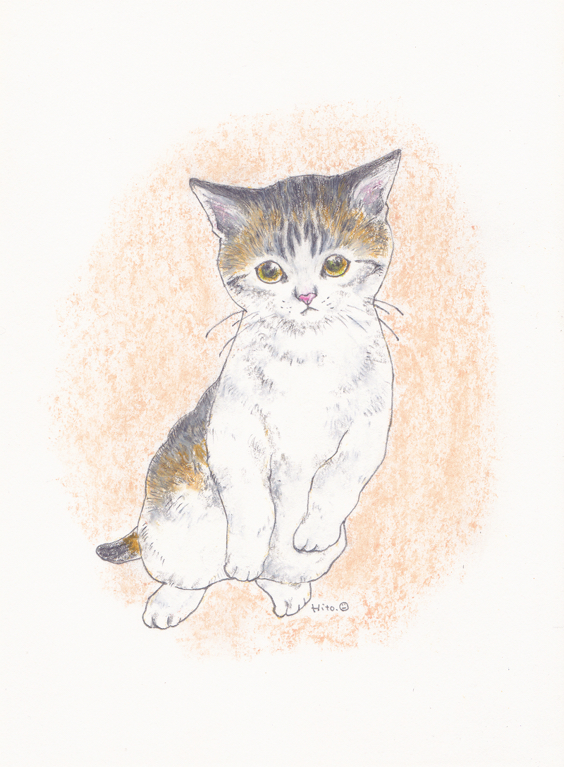 直筆 手描き オリジナル猫イラスト 見つめる仔猫 猫イラスト 猫の絵 リアルタッチ クレヨン画 原画 b5サイズ パステル画 クレヨン画 売買されたオークション情報 Yahooの商品情報をアーカイブ公開 オークファン Aucfan Com 直筆 手描き オリジナル猫イラスト 見つめる仔猫 猫イラスト 猫の絵 リアルタッチ クレヨン画 原画 b5サイズ パステル画 クレヨン画 売買されたオークション情報 Yahooの商品情報をアーカイブ公開 オークファン Aucfan Com
