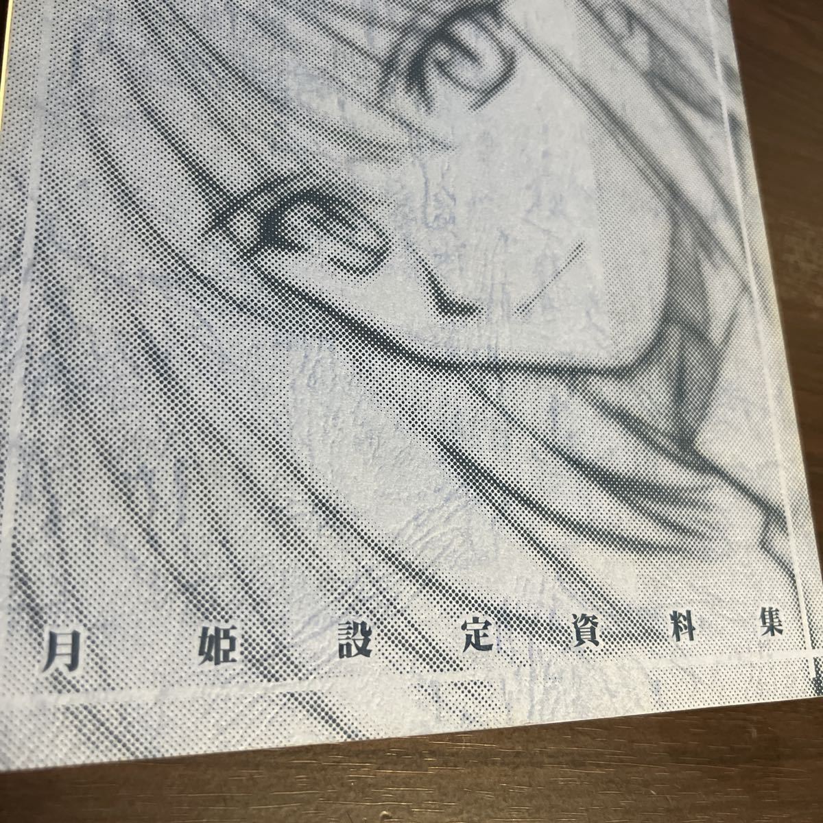 月姫読本 月姫設定資料集』青本 TYPE-MOON 2001年発行 初版 月姫読本 月姫設定資料集』青本 TYPE-MOON 2001年発行 初版