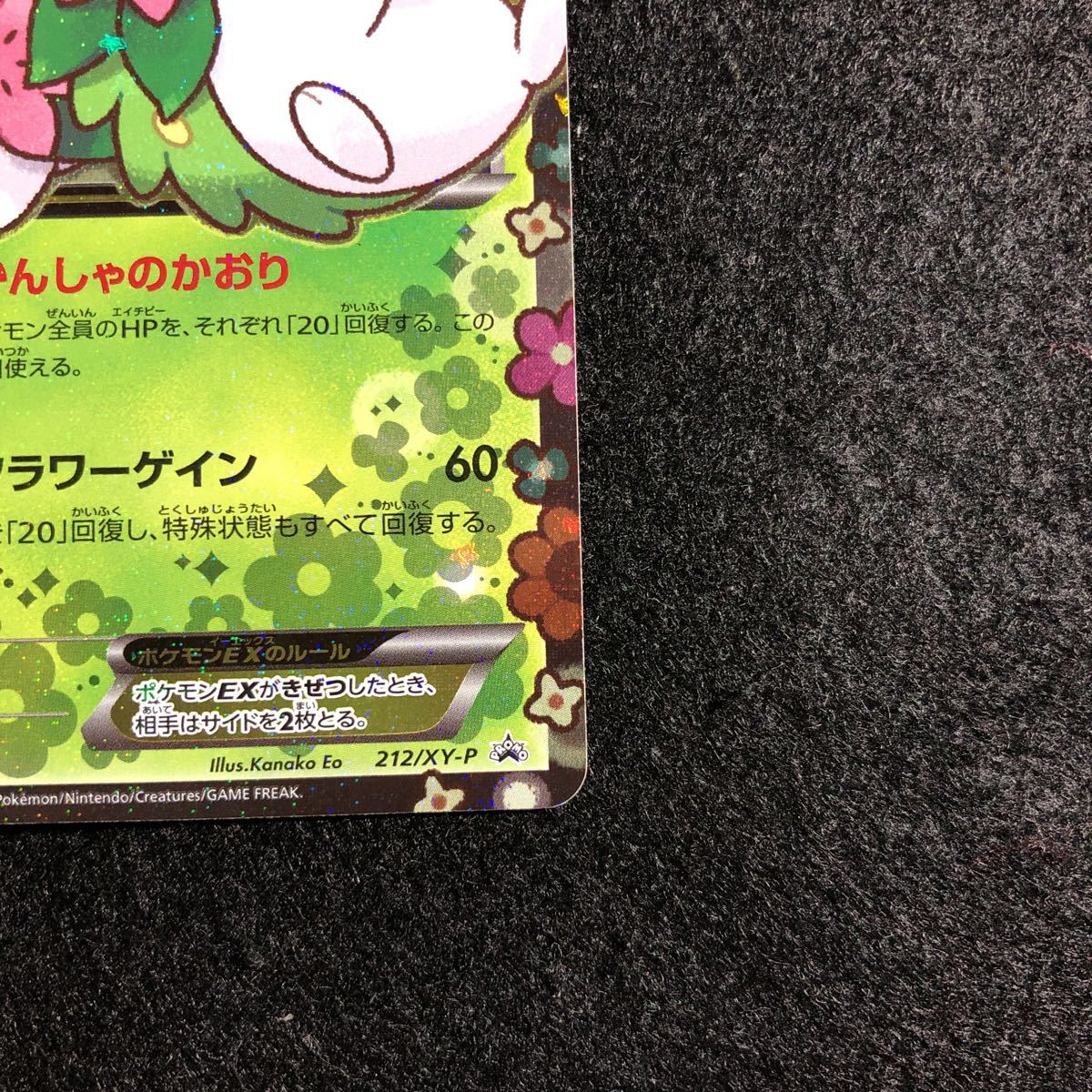 PSA10 シェイミEX プレミアムポケキュンセット プロモ 212/XY-P