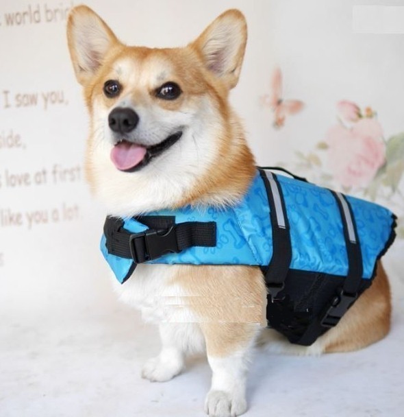  dog for / life jacket * medium sized small size [M blue ] playing in water sea river outdoor / nursing . at the time of disaster also! life jacket the best dog pet [M blue ] anonymity delivery 