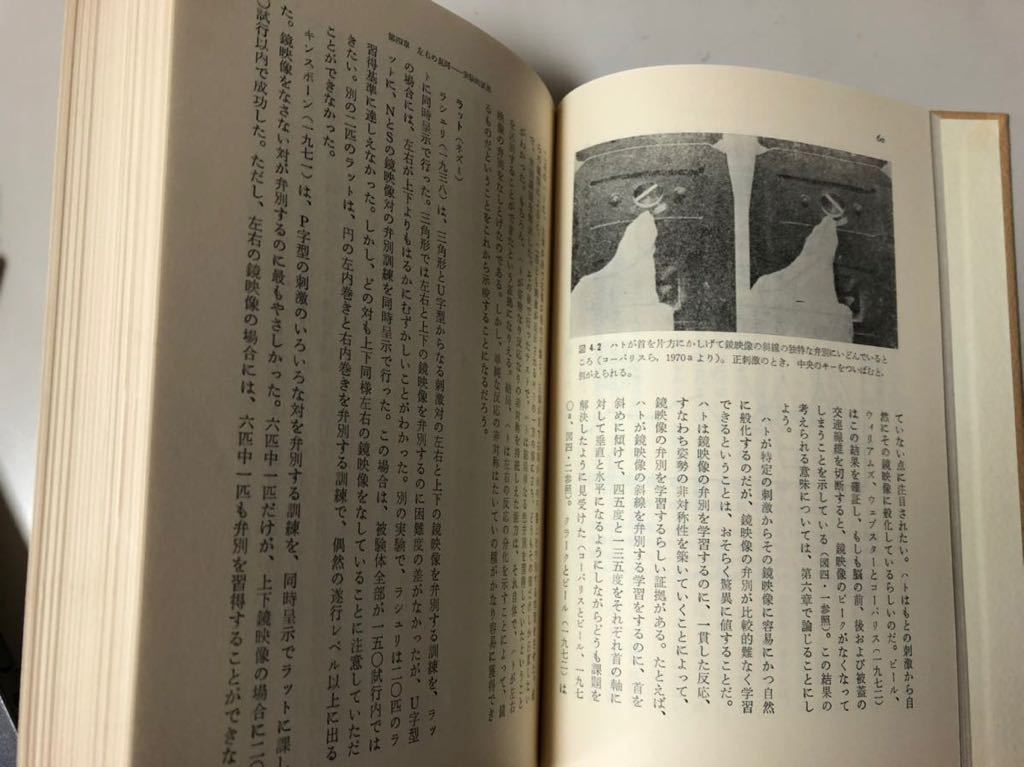 左と右の心理学 ／M.C.コーバリス・I.L.ビール ／訳:白井常.香取廣人.河内十郎／定価2,000円／★カバー無しです。_画像8