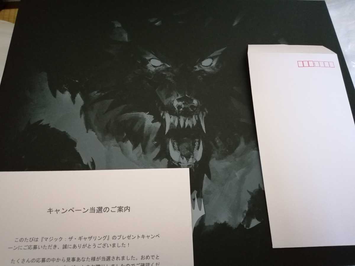 当選通知書 MTG マジックザギャザリング PRキット 当選通知書 MTG マジックザギャザリング PRキット