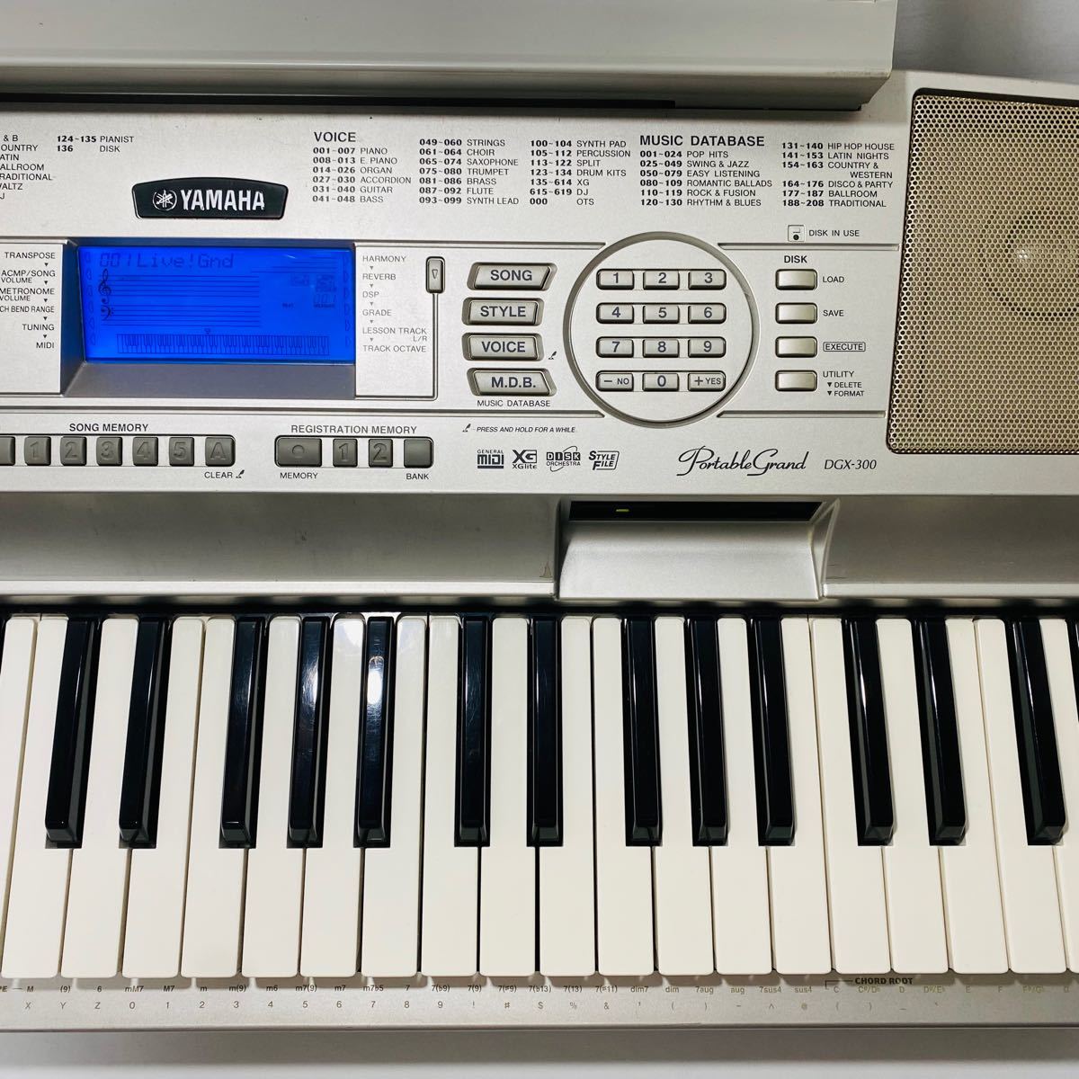 本日限定特価】 YAMAHA DGX-300 ポータブルグランド キーボード 本日限定特価】 YAMAHA DGX-300 ポータブルグランド キーボード