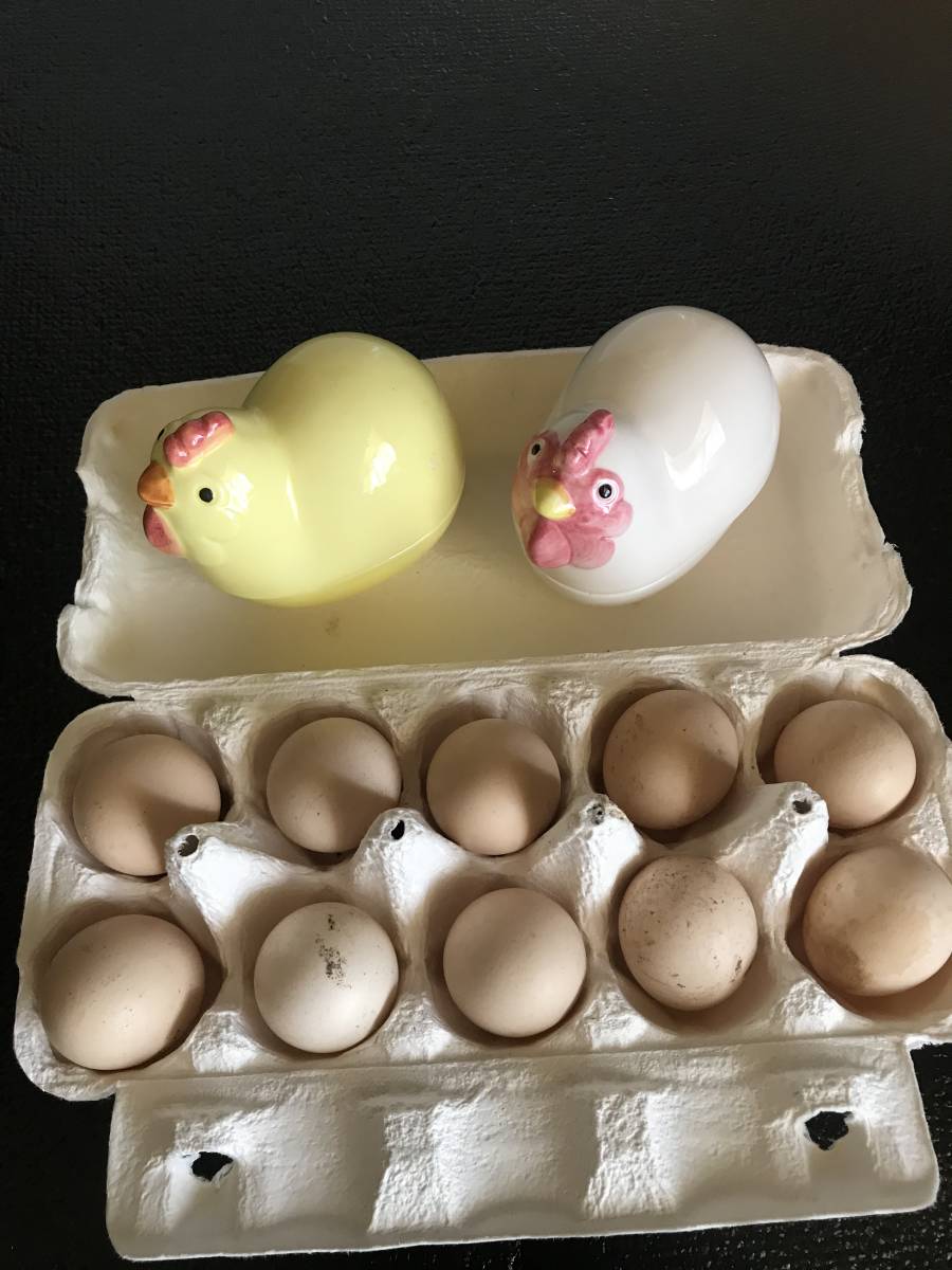 ニワトリ　鶏　 種卵10個 有精卵_画像3