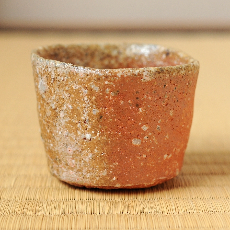 残りわずか 茶碗 信楽 杉本貞光作 - www.annuaire-traducteur
