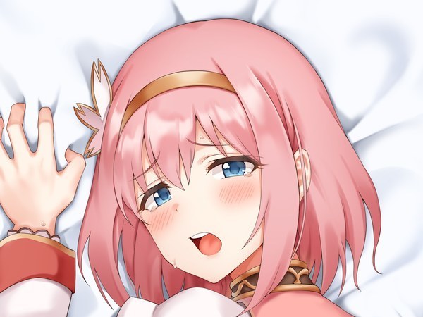 SJ有 Z-M Pillows 正規品新品未開封未使用 プリコネR ユイ 抱き SJ有 Z-M Pillows 正規品新品未開封未使用 プリコネR ユイ 抱き
