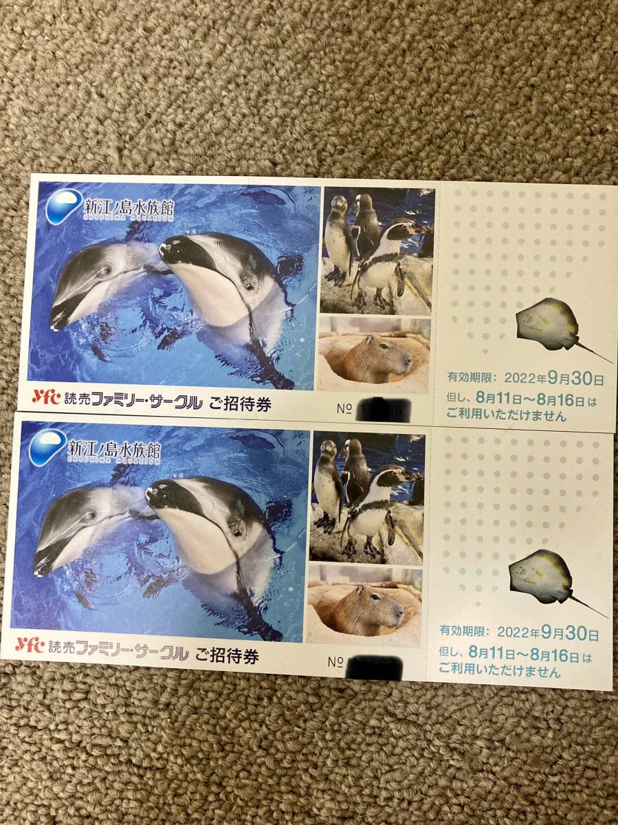 送料込 ペア 2枚セット 8 11~8 16は利用不可 ご招待券 新江ノ島水族館
