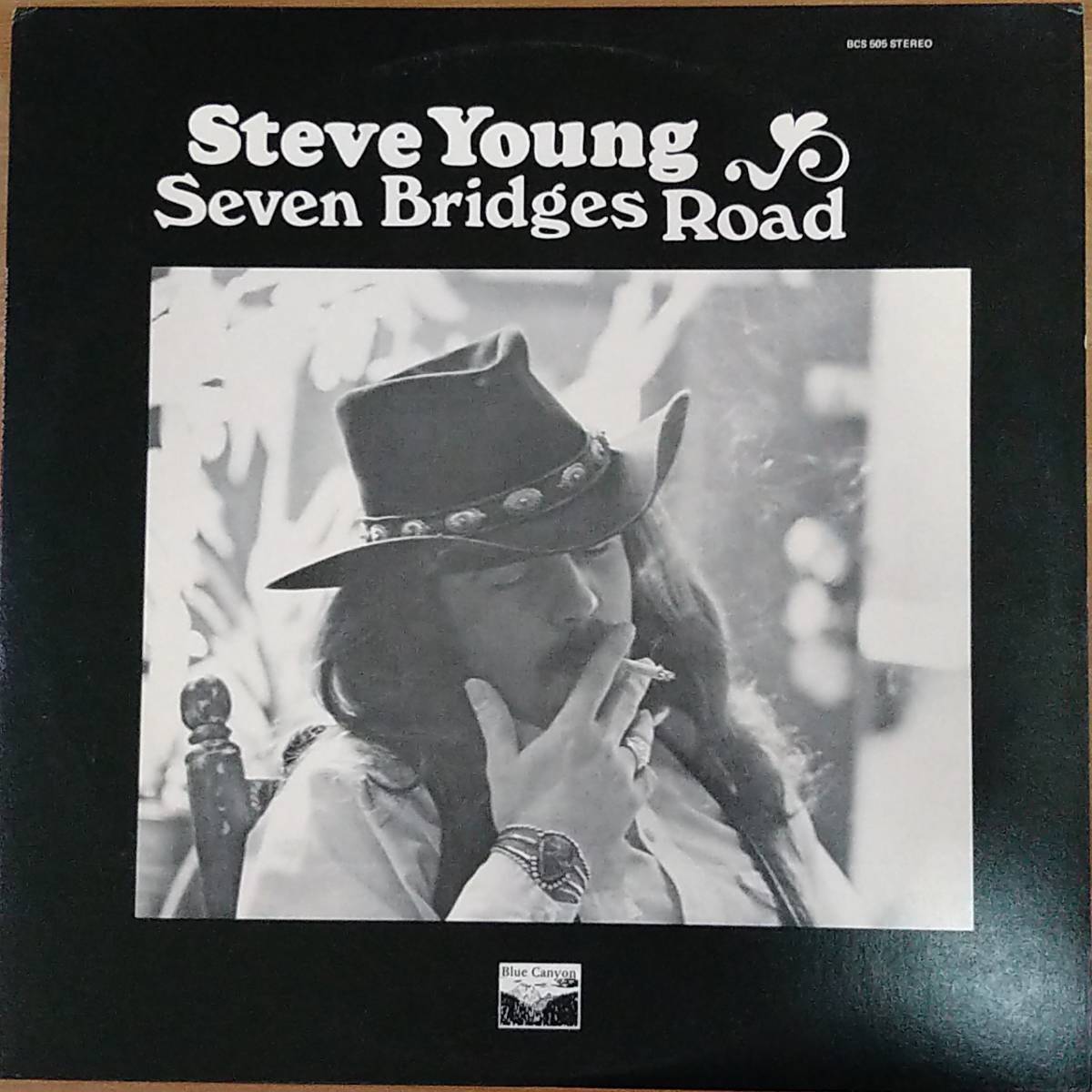 Steve Young / Seven Bridges Roads_画像1