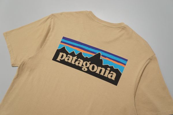 TE0537▽Patagonia/パタゴニア*メンズ*2点セット*バックロゴ コットンTシャツ/カットソー+フライングフィッシュ スウェット トレーナー_画像4