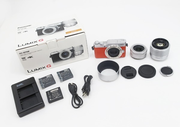 ◇【Panasonic パナソニック】LUMIX DC-GF9W-D ダブルレンズキット