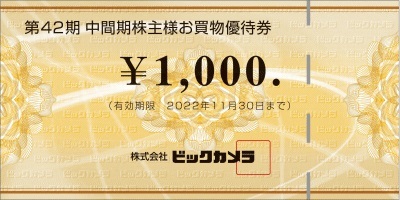 最新　ビックカメラ　株主優待券　6000円分_画像1