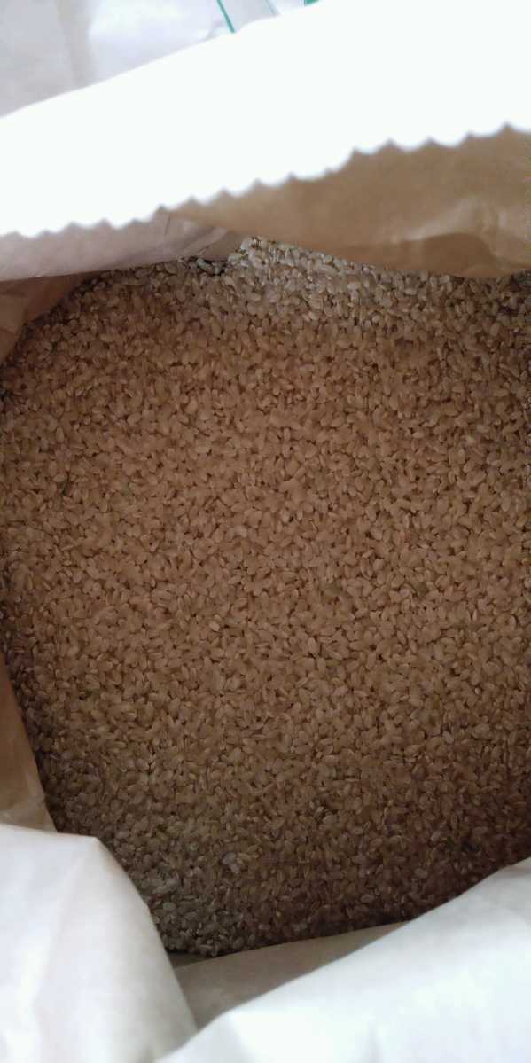 令和4年産新米栃木県特【A級ランク】一等米コシヒカリ25キロ無農薬にて作り上げたお米、安心、安全のお米です。一単農家、無農薬、_画像8