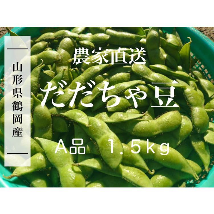 新鮮！！朝採りだだちゃ豆　Ａ品１.５ｋｇ　9/3 収穫・発送_画像1