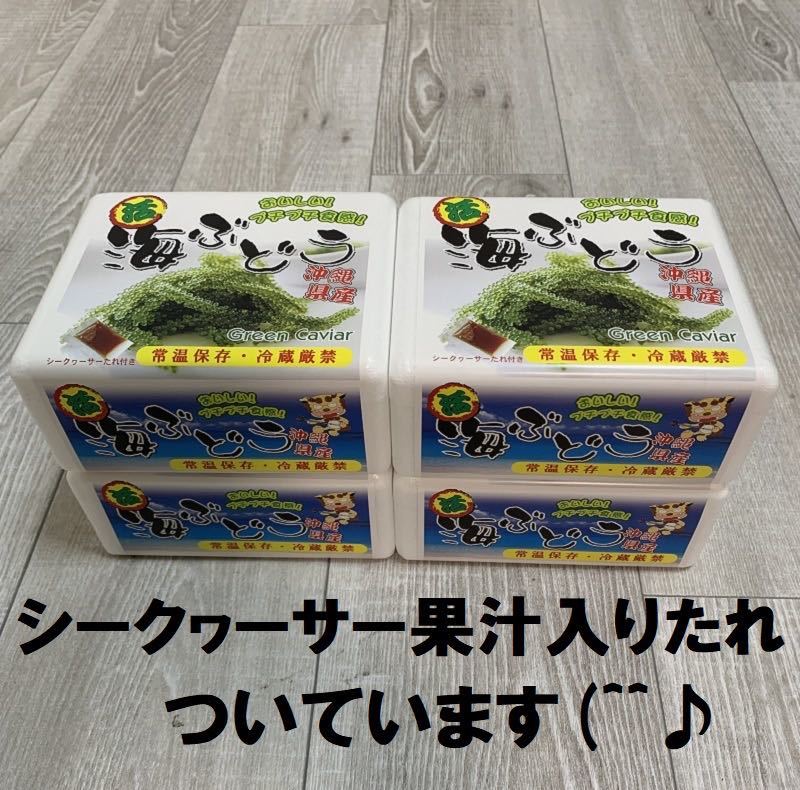 茎付き　生！海ぶどう４００ｇ　（シークヮーサー果汁入りタレ付き）生産地から新鮮直送！小分け4小箱_画像2